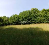 Banská Štiavnica Land – for living Sale reality Banská Štiavnica