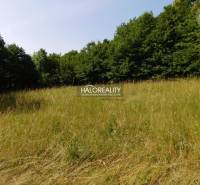 Banská Štiavnica Land – for living Sale reality Banská Štiavnica