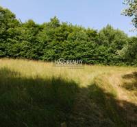 Banská Štiavnica Land – for living Sale reality Banská Štiavnica