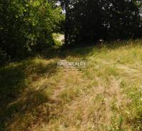 Banská Štiavnica Land – for living Sale reality Banská Štiavnica