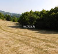 Banská Štiavnica Land – for living Sale reality Banská Štiavnica