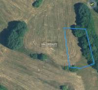 Banská Štiavnica Land – for living Sale reality Banská Štiavnica