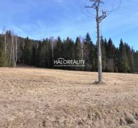 Nálepkovo Land – for living Sale reality Gelnica