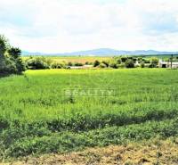 Tvrdomestice Land – for living Sale reality Topoľčany