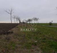 Bratislava - Jarovce Agrarian and forest land Sale reality Bratislava - Jarovce