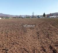 Oslany Land – for living Sale reality Prievidza