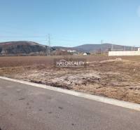 Oslany Land – for living Sale reality Prievidza