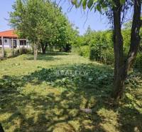 Krakovany Land – for living Sale reality Piešťany