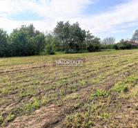 Semerovo Land – for living Sale reality Nové Zámky