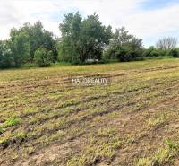 Semerovo Land – for living Sale reality Nové Zámky