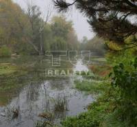 Hurbanova Ves Land – for living Sale reality Senec