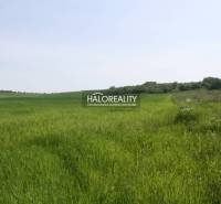 Rozhanovce Agrarian and forest land Sale reality Košice-okolie