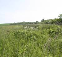 Rozhanovce Agrarian and forest land Sale reality Košice-okolie