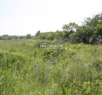 Rozhanovce Agrarian and forest land Sale reality Košice-okolie