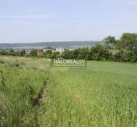 Rozhanovce Agrarian and forest land Sale reality Košice-okolie