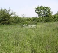 Rozhanovce Agrarian and forest land Sale reality Košice-okolie