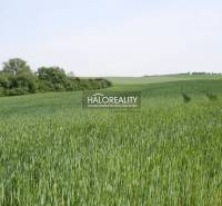 Rozhanovce Agrarian and forest land Sale reality Košice-okolie