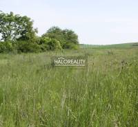 Rozhanovce Agrarian and forest land Sale reality Košice-okolie