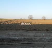 Veľké Kostoľany Land – for living Sale reality Piešťany