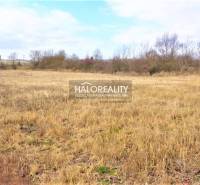 Ipeľský Sokolec Land – for living Sale reality Levice