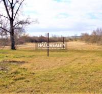 Ipeľský Sokolec Land – for living Sale reality Levice