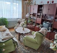 Horné Orešany Family house Sale reality Trnava