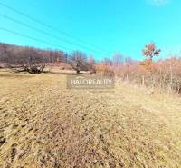 Devičany Recreational land Sale reality Levice