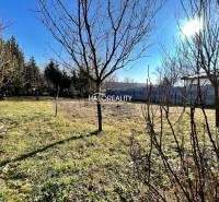 Beša Land – for living Sale reality Levice