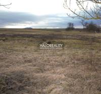 Horná Krupá Land – for living Sale reality Trnava