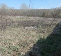 Bojničky Land – for living Sale reality Hlohovec