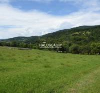 Hrabičov Recreational land Sale reality Žarnovica