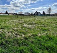 Horná Seč Land – for living Sale reality Levice