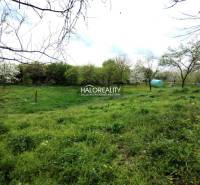 Jur nad Hronom Land – for living Sale reality Levice