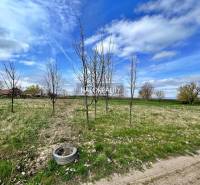 Horná Seč Land – for living Sale reality Levice