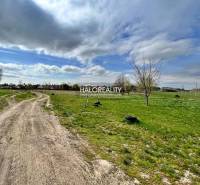 Horná Seč Land – for living Sale reality Levice