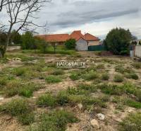 Krušovce Land – for living Sale reality Topoľčany