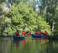 Vojka nad Dunajom Land – for living Sale reality Dunajská Streda