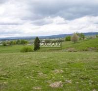 Detvianska Huta Recreational land Sale reality Detva