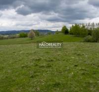 Detvianska Huta Recreational land Sale reality Detva