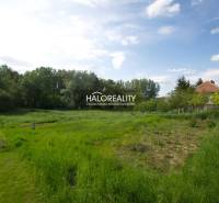 Čermany Land – for living Sale reality Topoľčany