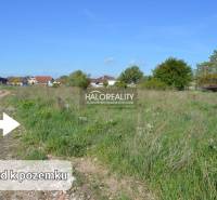 Gajary Land – for living Sale reality Malacky