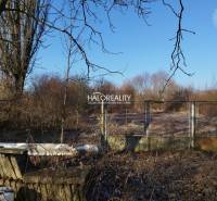 Jablonica Land – for living Sale reality Senica