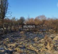 Jablonica Land – for living Sale reality Senica