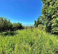 Levice Recreational land Sale reality Levice