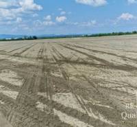 Bernolákovo Agrarian and forest land Sale reality Senec