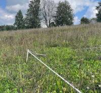 Široké Agrarian and forest land Sale reality Prešov