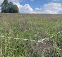 Široké Agrarian and forest land Sale reality Prešov