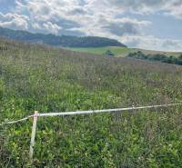 Široké Agrarian and forest land Sale reality Prešov