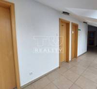 Piešťany Commercial premises Rent reality Piešťany