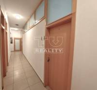 Piešťany Commercial premises Rent reality Piešťany